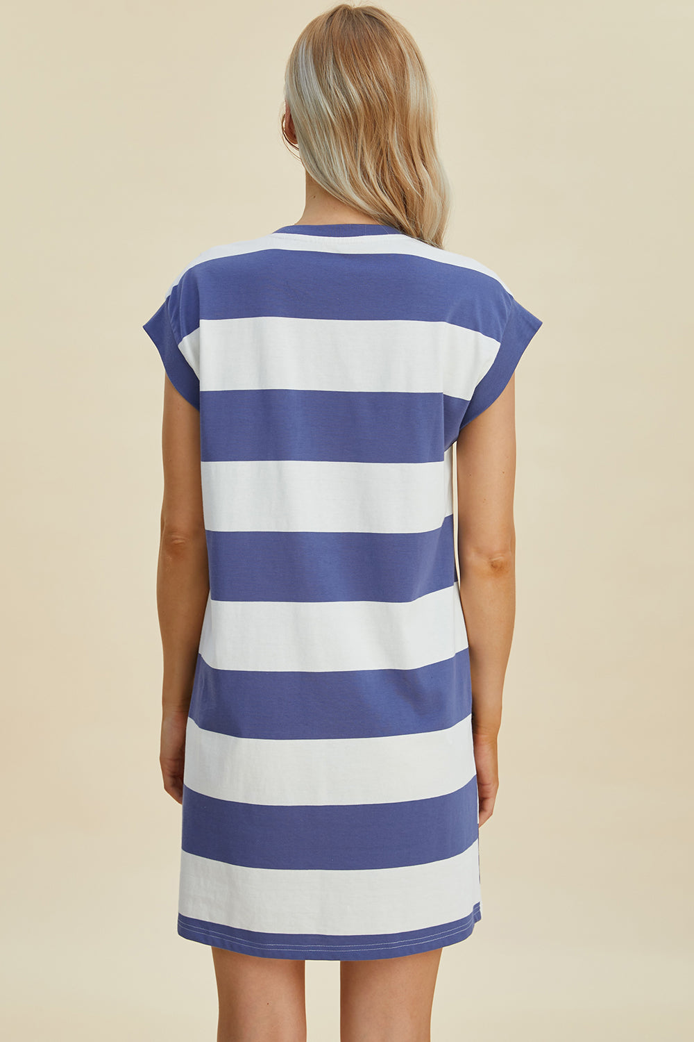 Basic Bae striped round neck cap sleeve mini dress in blue and white, back view.